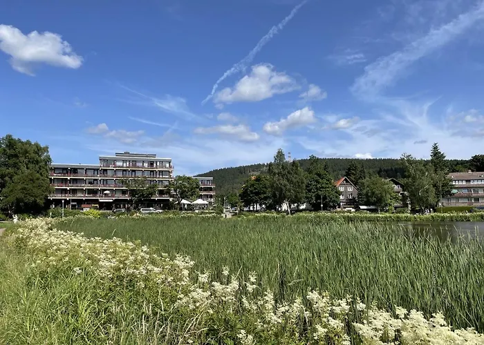 Appartement Haus Vier Jahreszeiten Am Vier Jahreszeiten - Hs 221 Goslar